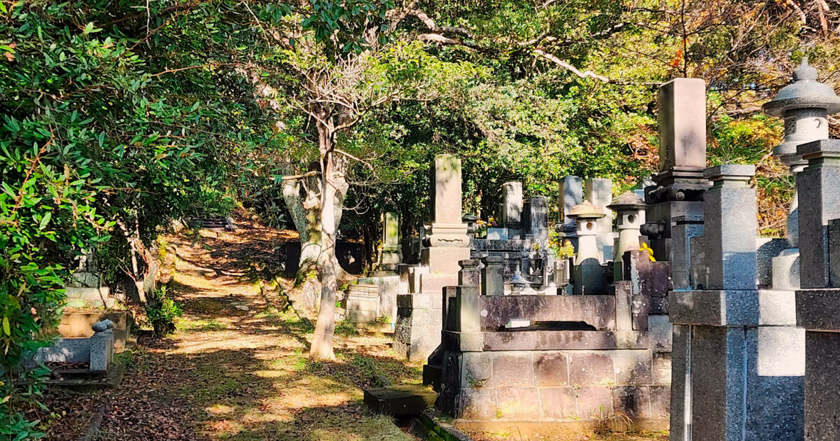 木漏れ日が差し込む緑に囲まれた墓地の小道