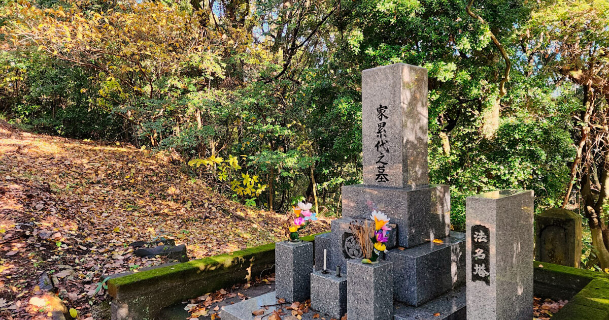 木漏れ日の中に佇む苔むした墓石と供えられた色鮮やかな花